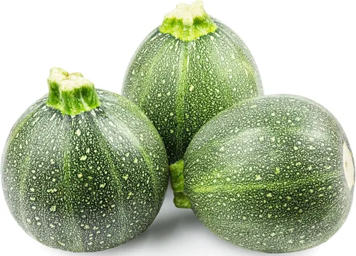 Vista 70 de 50 Hale's Best Cantaloupe Seeds for Planting - Sweet Aromatic Heirloom, Non-GMO, USA Grown by RDR Seeds