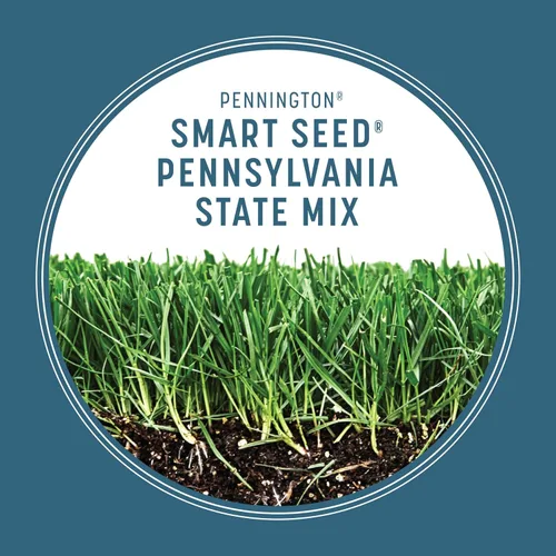 Vista 5 de Pennington Smart Seed - Semillas de césped del estado de Pennsylvania