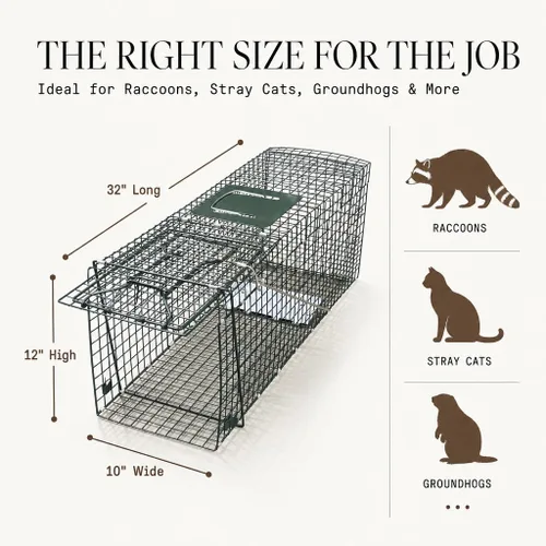 Vista 2 de Humane Way Recon 32 en trampa para animales vivos para mapache, gato