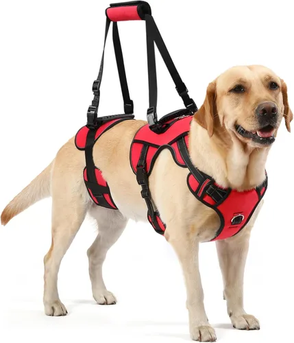 Vista 8 de NOYAL Arnés de elevación para perros para mascotas mayores y lesionadas – Soporte de cuerpo completo con malla transpirable, ayuda de pierna
