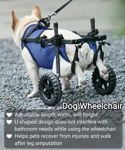 Vista 7 de Silla de ruedas ajustable para perros pequeños para patas traseras, rueda texturizada mejorada de 5.5 pulgadas, mascotas discapacitadas, soporte