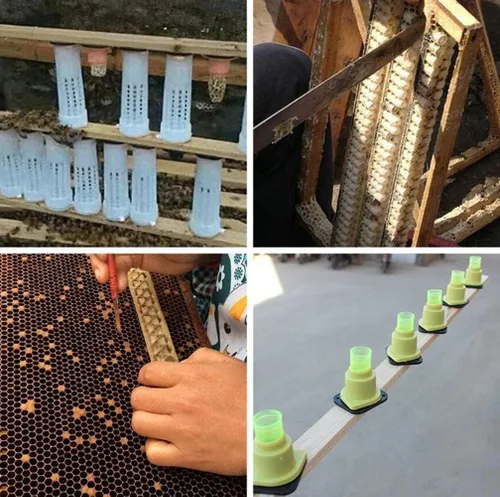 Vista 5 de Queen Bee - Taza de cría de abejas, 46 unidades, ligera, práctica, jaula de abeja para apicultura, apicultura, soporte de vasos de celda de reina