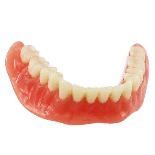 Vista 8 de Demostración inferior inferior inferior de la restauración del modelo M6003 Typodont Sobredentadura 4 implantes inferior inferior de los dientes