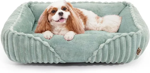 Vista 15 de EHEYCIGA Linda cama para perro de tamaño mediano, cama para mascotas de 30 Crema