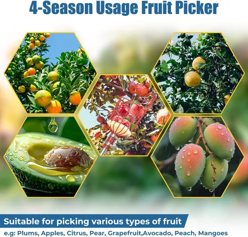 Vista 5 de Herramienta de poste recogedor de frutas de 75 pulgadas para largo alcance, no requiere escalera, herramienta de empalme portátil para personas