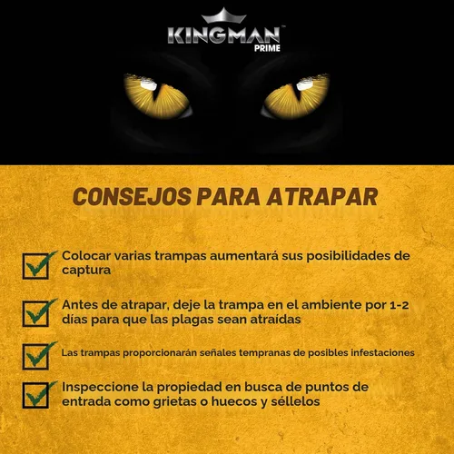 Vista 9 de Trampas de pegamento para ratas y ratones (tamaño grande)