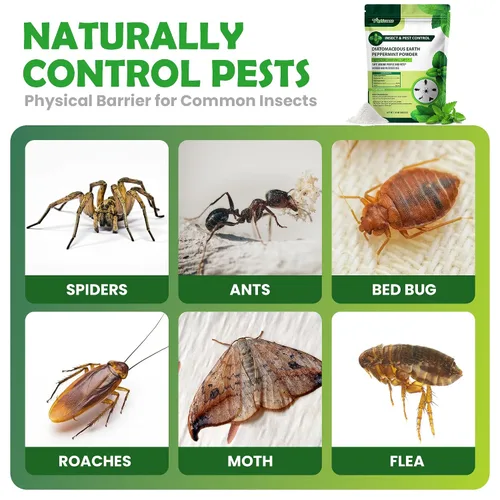 Vista 4 de Polvo de tierra de diatomeas de grado alimenticio y menta para el control de insectos y plagas rastreras – 1 lb