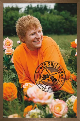 Vista 16 de Trends International Ed Sheeran - Póster de pared de campo de rosas, 22.37 x 34.00 pulgadas, versión enmarcada de madera de granero