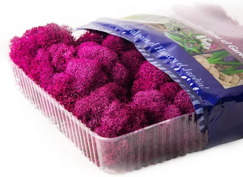 Vista 3 de Super Moss (23164) Musgo de reno preservado, fucsia, 2 onzas Musgo preservado suave, decoración del hogar, manualidades y terrarios, diseño