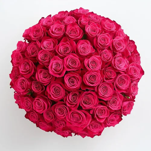 Vista 42 de GlobalRose Ramo de 50 rosas surtidas, rosas de origen responsable, flores frescas, ramo fresco de flores seleccionadas a mano para el día