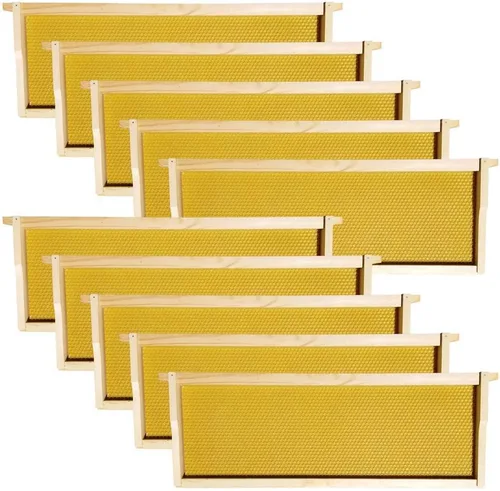 Vista 7 de Amish Made in USA Starter Bee Hive Complete para miel con marcos y cimientos 10 marcos