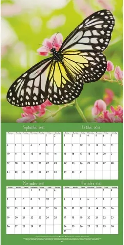 Vista 6 de Turner - Mini calendario fotográfico de pared con mariposas (24998950054)