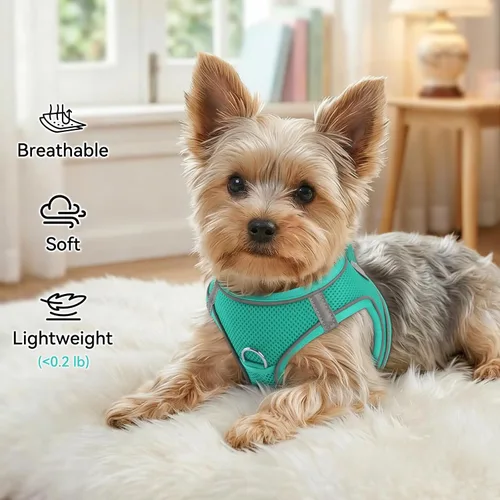 Vista 17 de Joytale Arnés para Perros Pequeños, Chaleco de Malla Transpirable Step-in, Arneses Acolchados Suaves Reflectantes para Gatos y Perros Cachorros