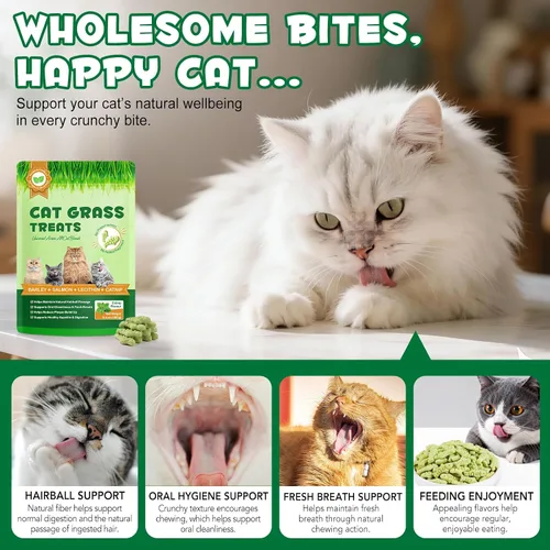 Vista 7 de Golosinas de hierba para gatos, golosinas para control de bolas de pelo en interiores, delicioso palo de dentición de hierba para quitar bolas