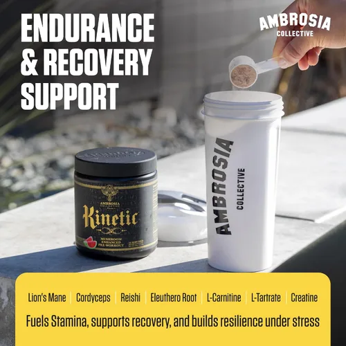 Vista 4 de Ambrosia Kinetic - Polvo orgánico para preentrenamiento Preentrenamiento natural mejorado con hongos Superalimento en polvo nootrópico