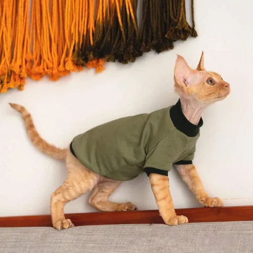 Vista 3 de Ropa para gatos sin pelo, camisa de algodón transpirable, para primavera, verano, otoño, gato, ropa para esfinge, Cornish Rex, Devon Rex, Peterbald