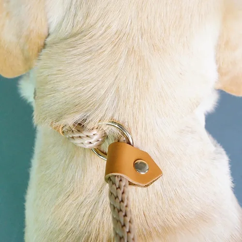 Vista 3 de Correas antideslizantes para perros de 6 pies, correa deslizante de cuerda Checkcord, correa antideslizante de cuerda para perro, fácil de usar