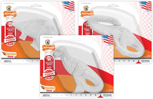 Vista 6 de 1 paquete de juguete masticable de dinosaurio dental duradero Nylabone (la forma del dinosaurio varía), grande