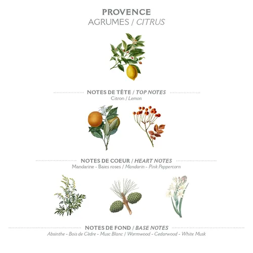 Vista 2 de Panier des Sens Provence Citrus Roll-On Eau de Toilette, 0.3 fl oz Perfume ligero de tamaño de viaje para mujer Fragancia fresca y picante