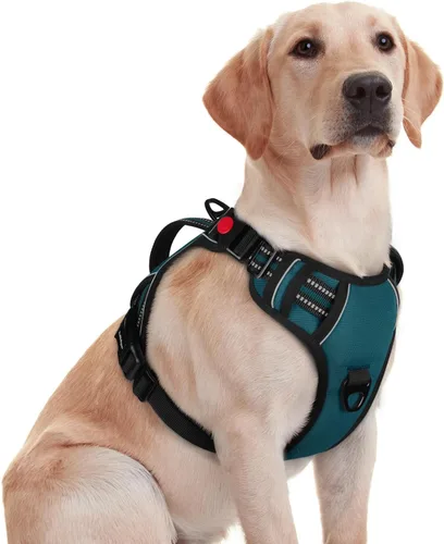 Vista 39 de rabbitgoo Arnés para perro de tamaño pequeño, arnés para mascotas sin tirones con mango acolchado suave, chaleco reflectante ajustable con 3