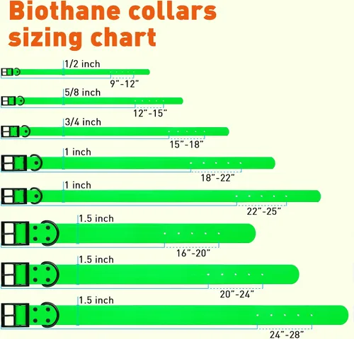 Vista 31 de Dogline Biothane - Collar impermeable para perro con hebilla de liberación rápida, resistente cincha de nailon recubierta con resistente y a prueba