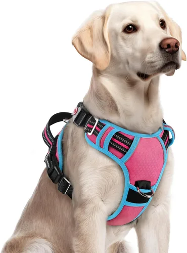 Vista 45 de Rabbitgoo - Arnés para perro de tamaño pequeño, sin tirones, 3 hebillas, fácil de poner y quitar Negro