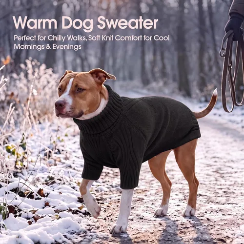 Vista 5 de IECOii Suéter de perro salchicha de cuello alto para perros pequeños, medianos y hembras, elástico y transpirable, abrigo de punto cálido, para Negro