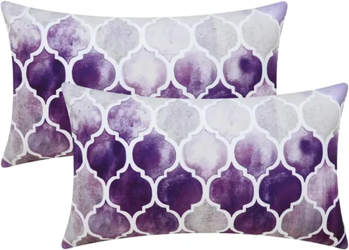 Vista 25 de CaliTime - Juego de 2 fundas de almohada pintadas a mano con cadena de enrejado colorida.