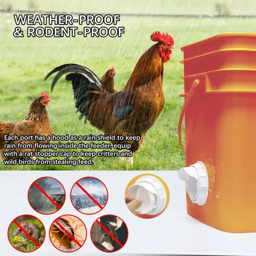 Vista 4 de 6 puertos de alimentación de pollo, tazas de alimentación de aves de corral Blanco -6 piezas