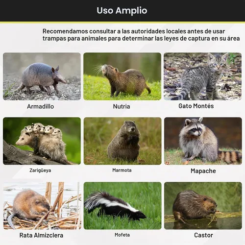 Vista 8 de Trampa Armadillo de 32 pulgadas, jaula resistente para animales