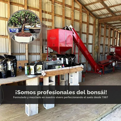 Vista 8 de Tinyroots Bonsai Soil Plus un paquete de tres macetas de entrenamiento para bonsái de seis pulgadas
