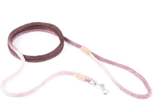 Vista 240 de Alvalley Correa para perros estilo broche – Correa de nailon estilo broche para perros – Fácil de manejar – Perfecto para perros pequeños, medianos