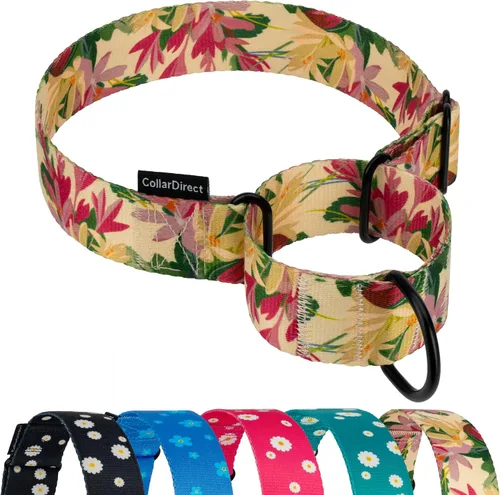 Vista 21 de CollarDirect Martingale - Collar de nailon resistente para perros pequeños, medianos y grandes [nailon, estampado, aguamarina, L, 15-20 pulgadas)
