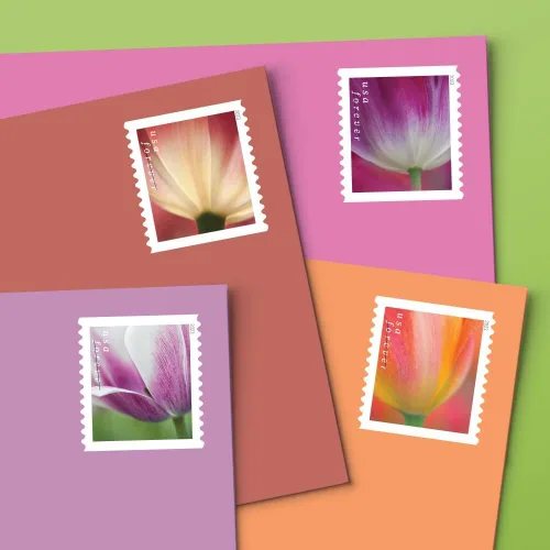 Vista 2 de USPS 2023 Tulip Blossom Forever - Sellos postales de primera clase (20 unidades)