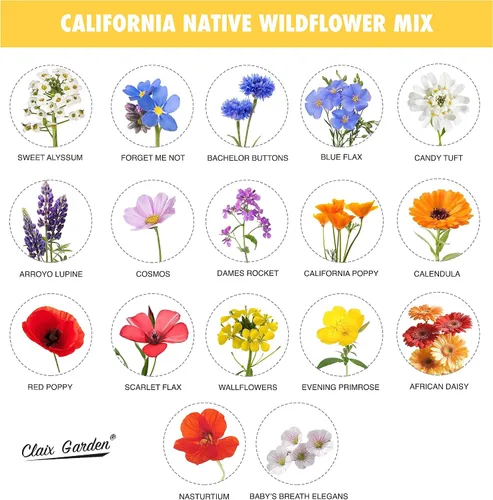 Vista 3 de Mezcla de flores silvestres de California, 10,000 semillas, 17 variedades, sin rellenos, polinizadas abiertas y sin OMG, flores de jardín perennes