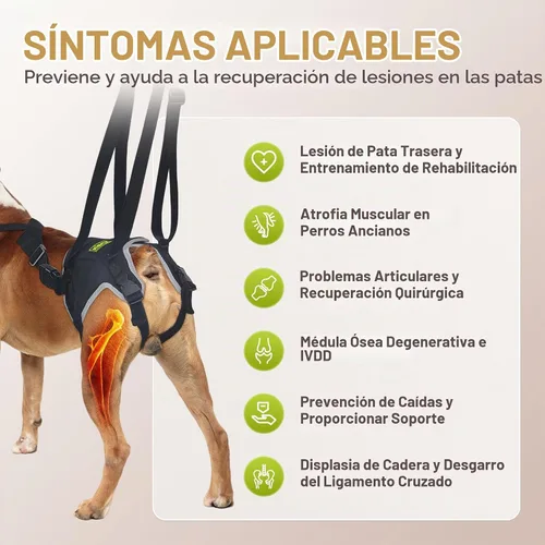 Vista 2 de Arnés de elevación para perros grandes, ayuda para la movilidad