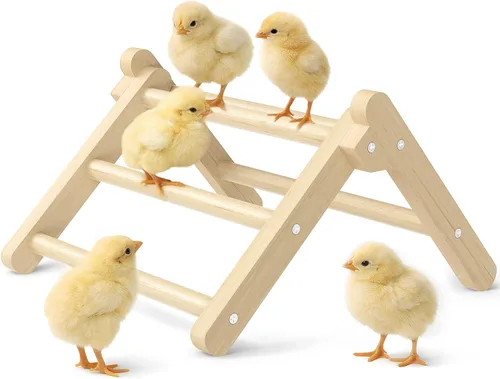 Vista 8 de Perca plegable de pollo, estable y sin montaje, perca de pollo para entrenamiento de pie, 12.44 x 11.02 x 7.44 pulgadas, juguetes para pollitos