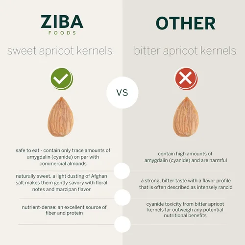 Vista 5 de Ziba Foods Granos de Albaricoque Dulce Cultivados Silvestres Sin OMG, Vegano, Apto para Whole 30 y Ceto, Paleo, Tostados en Seco Supersemillas