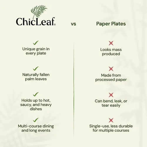 Vista 7 de Chic Leaf Platos desechables cuadrados de hoja de palma de bambú, paquete de 100 unidades de 8 pulgadas, vajilla biodegradable y compostable, platos
