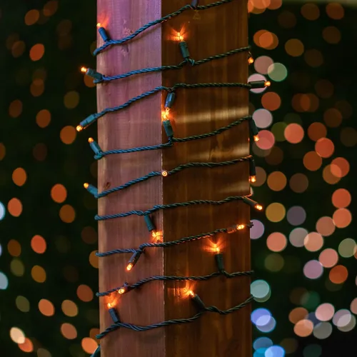Vista 3 de Novelty Lights - Cadena de 11 pies con 50 luces LED ámbar para Navidad, para interior/exterior, espaciado de 2.5", luces de cadena de alambre verde