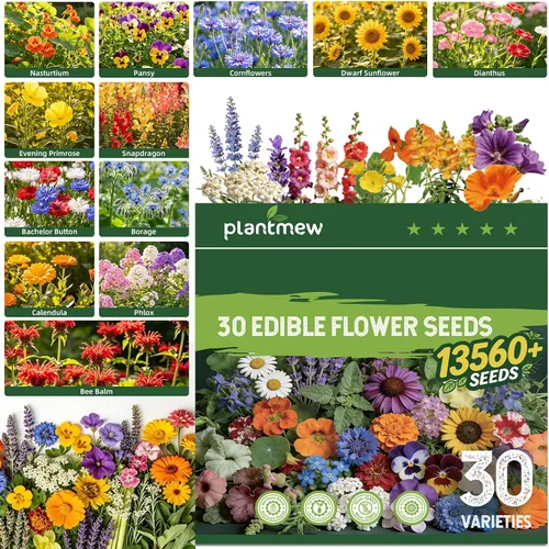 Vista 10 de 35 Medicinal & Tea Herb Seeds Variety Pack for Indoor & Outdoors