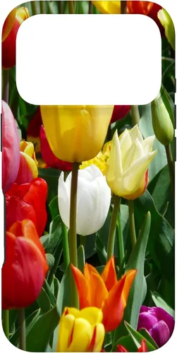 Vista 30 de Funda botánica para iPhone 17 con flores coloridas y tulipanes para amantes de las plantas