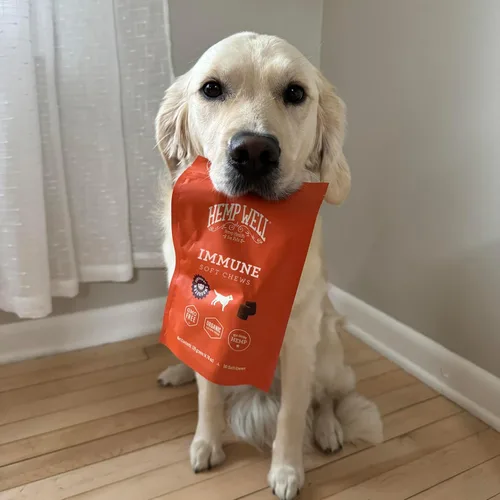 Vista 4 de Hemp Well Masticables suaves para perros de apoyo inmunológico: apoya un sistema inmunológico saludable para perros, de origen orgánico