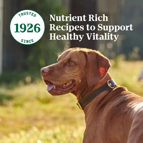 Vista 10 de Nutro Hearty Stew - Alimento húmedo natural sin granos para perros adultos, trozos en salsa, estofado abundante de res, tomate, zanahoria