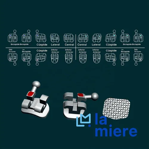 Vista 5 de 20 piezas modelo de dientes con brackets, soportes Typodont, ranuras 0.018 3-4-5 con ganchos 20 piezas/paquete, (MBT, Mini) 1PK