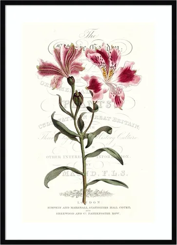 Vista 11 de Amanti Art Vision Studio - Lienzo decorativo para pared, 24 x 18 pulgadas, varietales de jardín de flores, arte de pared de flores, decoración