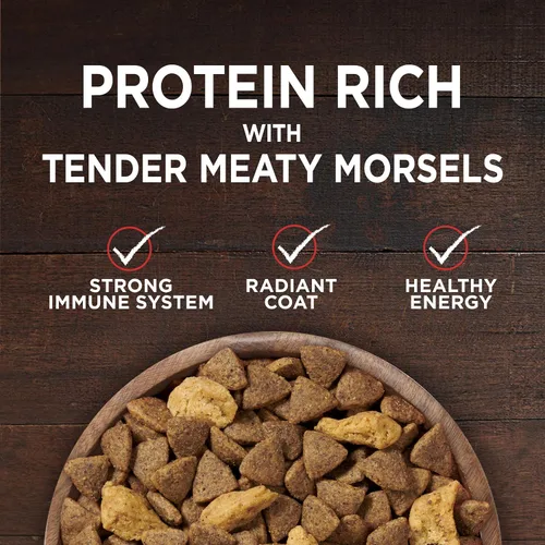 Vista 2 de Alimento para perro seca de Purina ONE Smartblend True Instinct sin cereales, fórmula llena de nutrientes, carne de res y camote