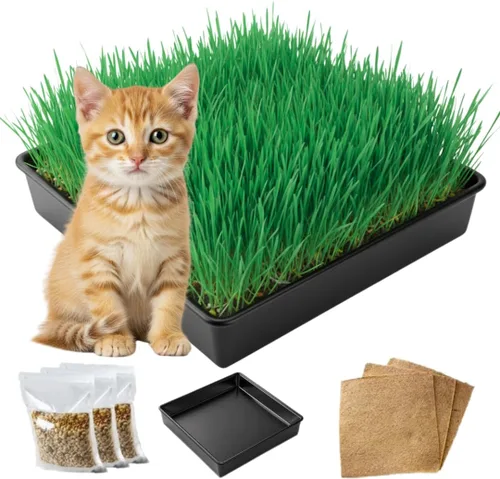 Vista 8 de Kit de cultivo de hierba para gatos, semillas orgánicas, tapetes de cultivo de yute, contenedor de cultivo de 10 x 10 pulgadas, ideal para gatos