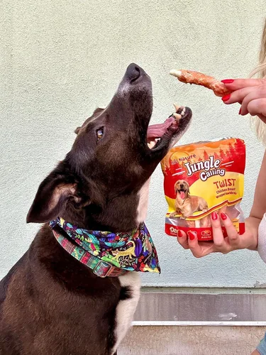 Vista 7 de Jungle Calling Golosinas para perros, palitos de cuero crudo envueltos en pollo para perros, deliciosas y nutritivas golosinas de recompensa