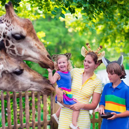 Vista 3 de 6 diademas de orejas de animales para niños, suministros de fiesta, decoraciones